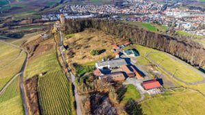 Widerstand bei Burg  Lichtenberg: Hühnerhof-Gegner  lassen nicht locker