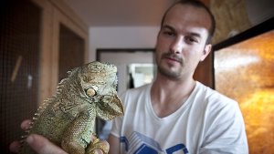 Marco Mauz lebt in Esslingen mit vielerlei Reptilien unter einem Dach – auch mit Leguanen. Foto: Leif Piechowski