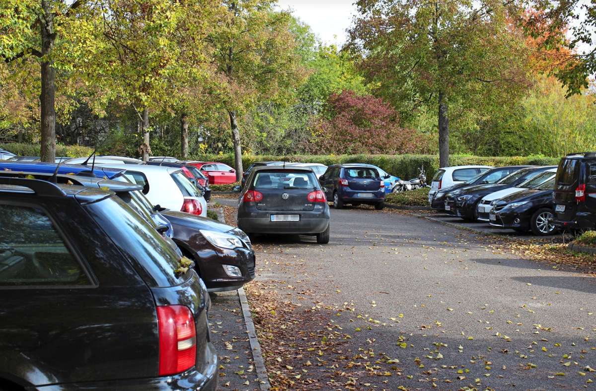 Seit die Parkplätze an der Uni Hohenheim bewirtschaftet werden, weichen viele Studenten in die Wohngebiete aus. Wo nichts gezahlt werden muss –  hier ein Stellplatz an einem Wohnheim an der Fruwirthstraße –  geht es eng zu. Foto: /Caroline Holowiecki