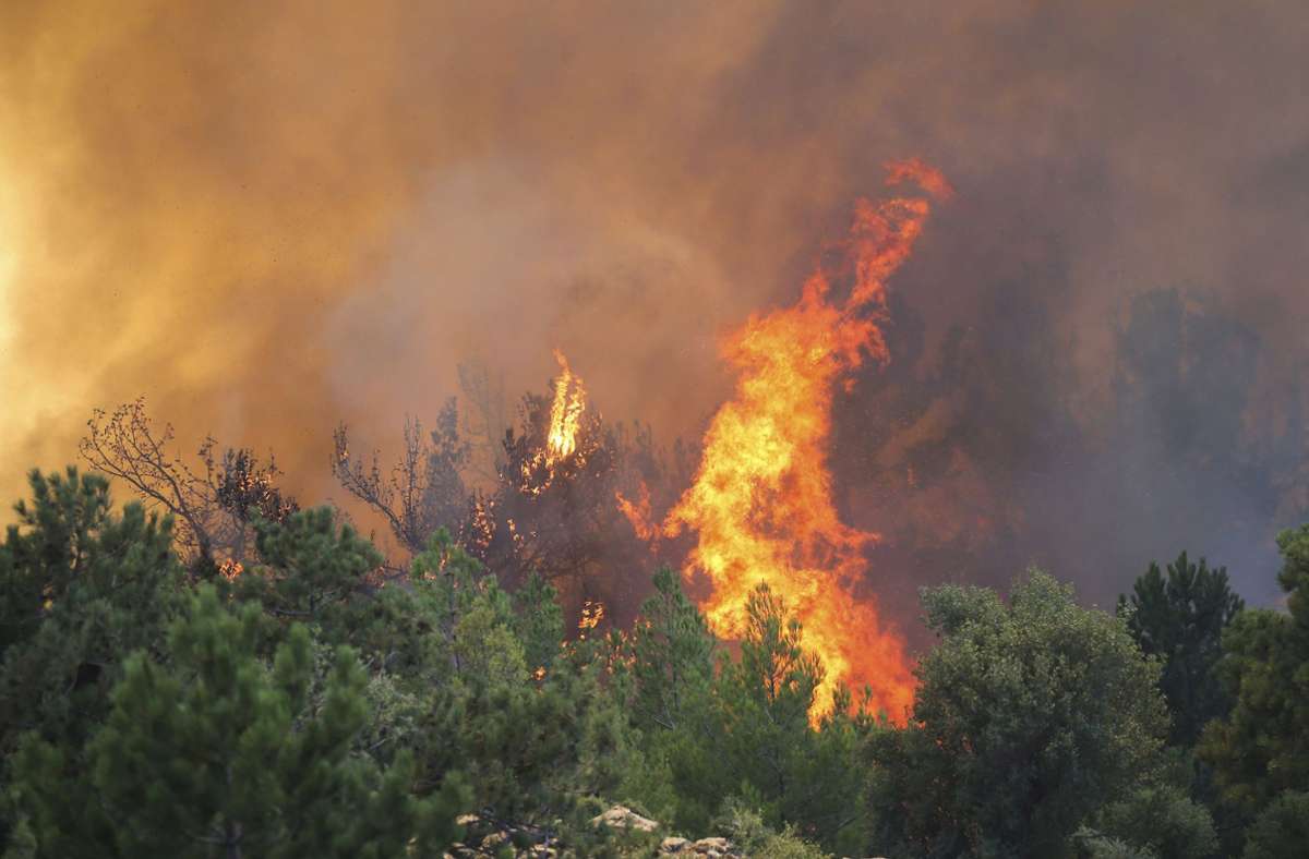 Seit Wochen kämpfen Menschen im Mittelmeerraum gegen Waldbrände.
