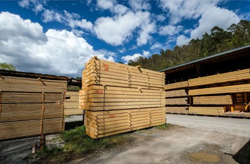 Holz war im ersten Halbjahr dieses Jahres ein teures Gut. Foto: Wilhelm Mierendorf wm-foto@t.online.de/wm-foto@t.online.de
