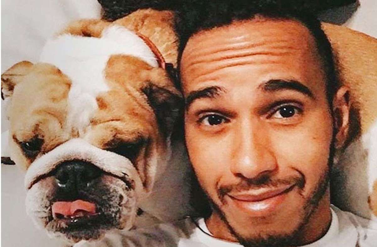 Ein Herz und eine Seele: Lewis Hamilton und Roscoe Foto: Instagram/@roscoelovescoco