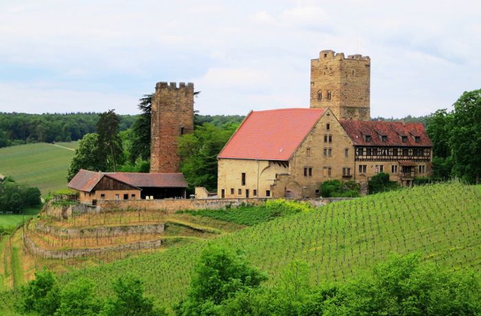 Guter Wein in der Region Stuttgart: Eine blumige  Cuvée zum Start des Erbgrafen