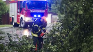 Ein Feuerwehrmann zersägt in Niedersachsen nach einem Unwetter einen umgestürzten Baum. Foto: dpa