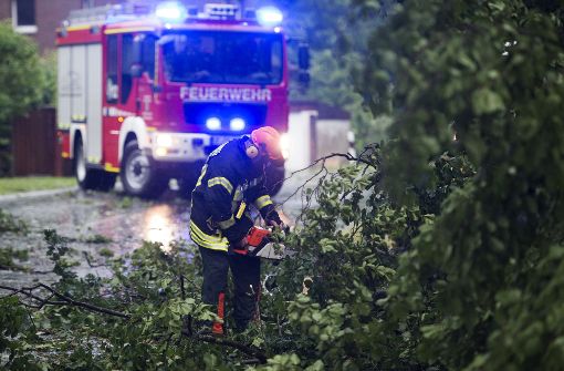 Ein Feuerwehrmann zersägt in Niedersachsen nach einem Unwetter einen umgestürzten Baum. Foto: dpa