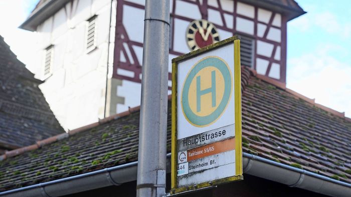 Neue Buslinie soll Höpfigheim ansteuern