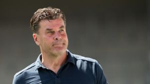 Dieter Hecking offenbar nicht mehr HSV-Trainer