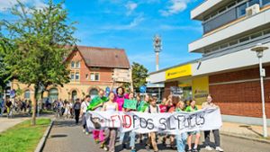 Fridays-for-Future-Demonstranten ziehen durch Herrenberg