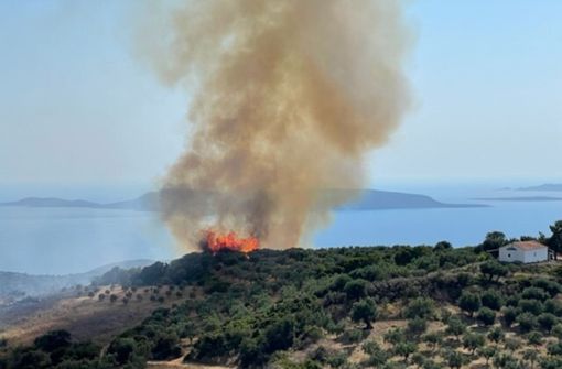 Waldbrand in Griechenland: Die Flammen zerstören die dürre Vegetation. Foto:  