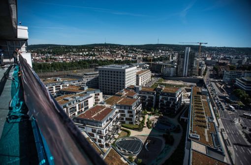 So sieht eine Dachbegrünung in Stuttgart aus. Foto: Lichtgut/Max Kovalenko