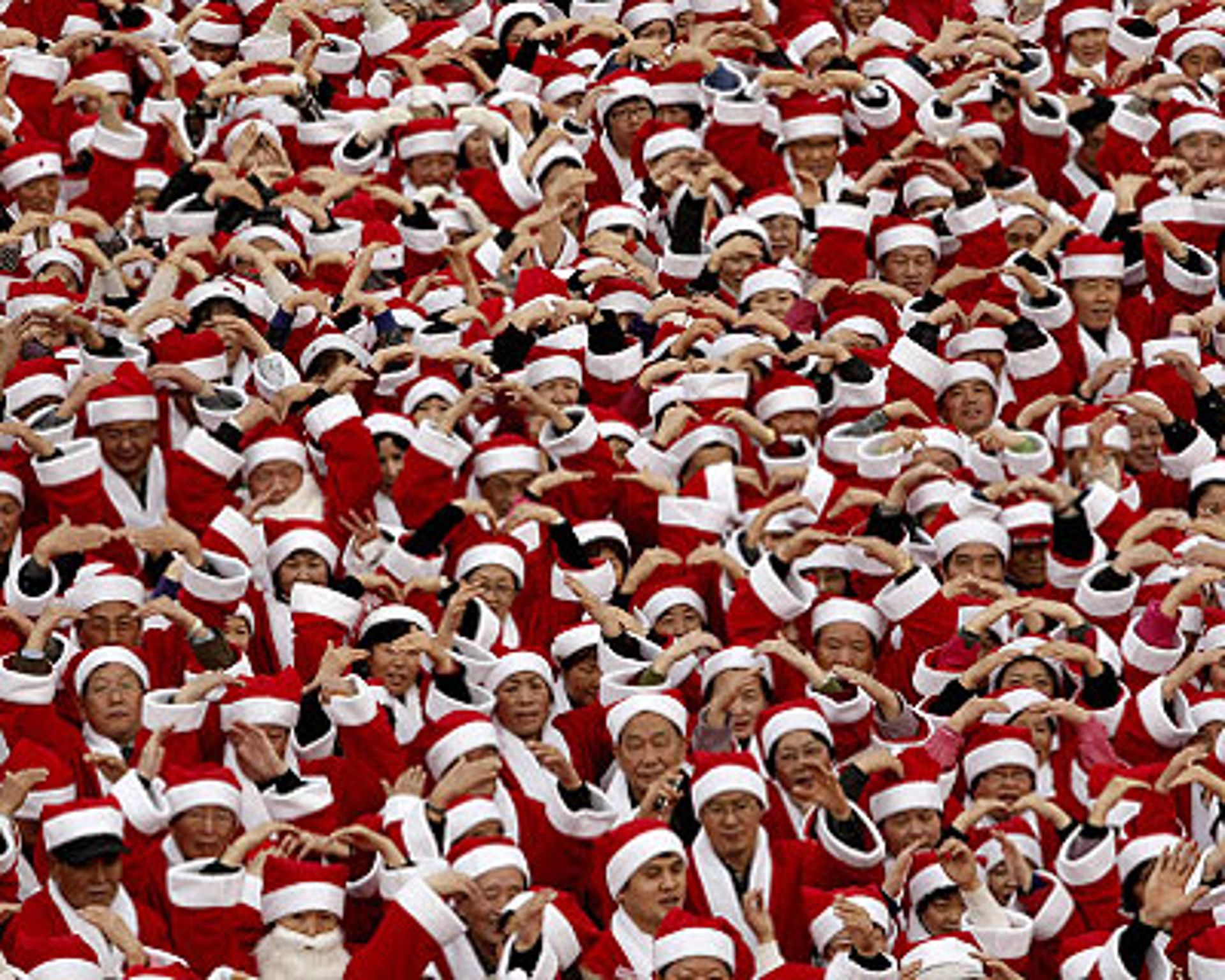 Weihnachten in der Türkei: Christbäume für Moslems - Politik