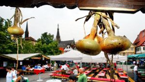 Die Twiebel ist das Esslinger Wahrzeichen. Gefeiert wird in diesem Jahr vom 4. bis 14. August. Foto: Rudel