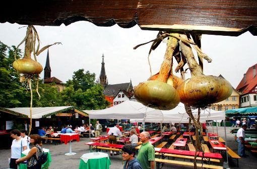 Die Twiebel ist das Esslinger Wahrzeichen. Gefeiert wird in diesem Jahr vom 4. bis 14. August. Foto: Rudel