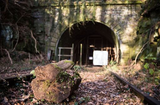 Viele der Fledermausarten in zwei alten Tunneln bei Hirsau stehen laut Nabu auf der Roten Liste. Foto: dpa