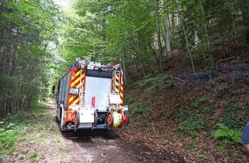 Die Feuerwehr musste in den vergangenen Wochen oft in den Wald ausrücken – wie sich nun herausstellt, möglicherweise wegen eines Mannes aus den eigenen Reihen. Foto: Wolfgang Krokauer