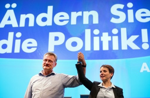Hoffnungsträger Jörg Meuthen und die neue Parteichefin Frauke Petry Foto: dpa