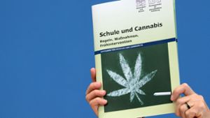 Die Teillegalisierung vermittelt ein falsches Signal der Harmlosigkeit des Cannabis-Konsums, sagt Stefan Düll. Foto: Ralf Hirschberger/dpa