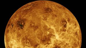 Forscher finden Hinweise auf Leben in der Venus-Atmosphäre
