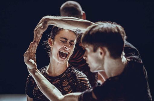 Emotional intensiv wie ein verglühendes Leben: Das NDT 2 tanzt „The Big Crying“ von Marco Goecke. Foto: NDT 2/Rahi Rezvani