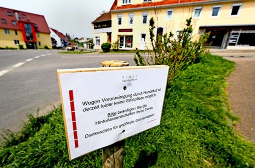 Insgesamt vier Wiesen sind in Sachsenheim von dem Mäh-Boykott betroffen. Das Bild zeigt eine Grünfläche im Ortsteil Hohenhaslach. Foto: factum/Granville