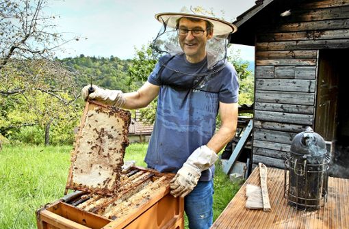 Das Honigjahr ist beendet. Nun schaut Armin  Glock  regelmäßig nach den  Bienen,  die er über den Winter bringen will. Foto: Elke Hauptmann