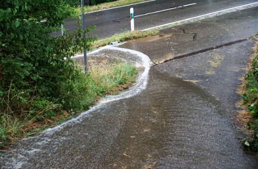 Stärkere Regenfälle hat es am Freitag in Nürtingen und der Region gegeben. Foto: SDMG