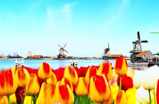 Schön und bei Besuchern beliebt: Immer mehr Touristen wollen Urlaub in den Niederlanden machen. Foto: Kisa_Markiza - stock.adobe.com