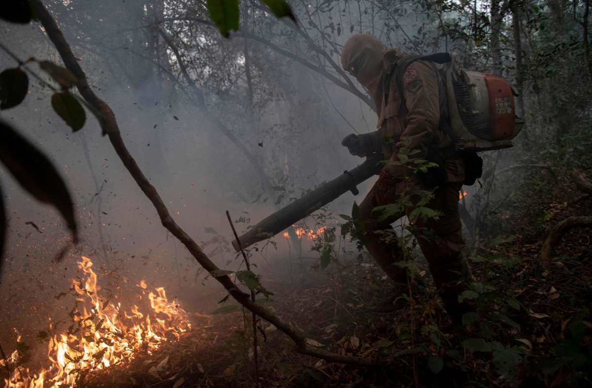 Die Brände in der Amazonas-Region und im Naturschutzgebiet Pantanal in Brasilien...