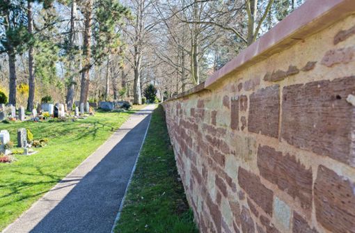 Neue Maßnahme auf dem Alten Friedhof in Böblingen. Foto: Eibner//Bürke