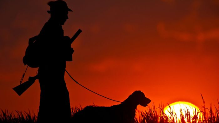 Hund „schießt“ auf Herrchen - Jäger ist Waffe los