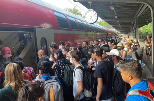 Großes Gedränge in Zügen: Seit Juni gibt es das 9-Euro-Ticket. Foto: dpa/Thomas Müller