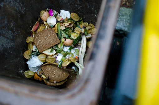 Viele Lebensmittel landen im Müll, obwohl man sie noch essen kann. (Symbolfoto) Foto: picture alliance / dpa