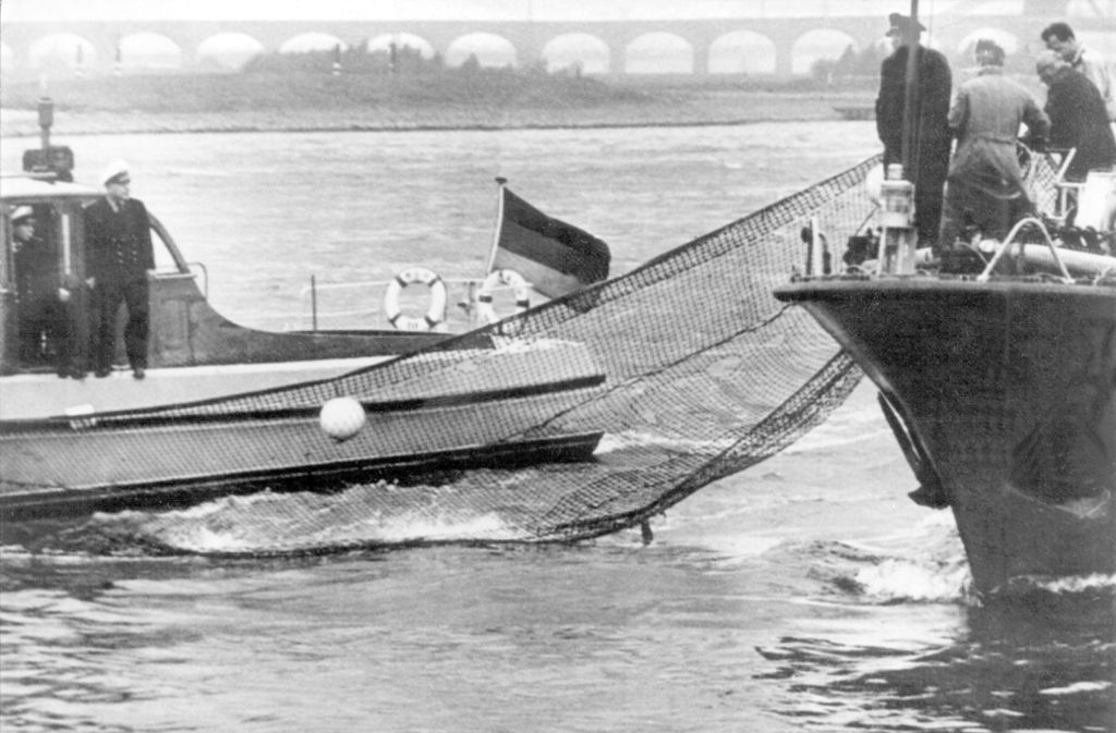 Ein weißer Beluga-Wal, der sich in den Rhein verirrt hatte,   hielt im Mai 1966 die Nation in Atem. Alle Versuche, das Tier zu fangen, scheiterten. Es  entwischte - und schwamm wahrscheinlich zurück ins Meer.