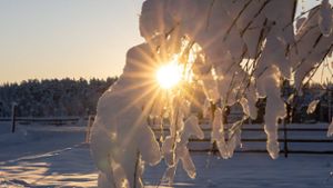 Wetter im Südwesten: Strahlender Sonnenschein bei Dauerfrost
