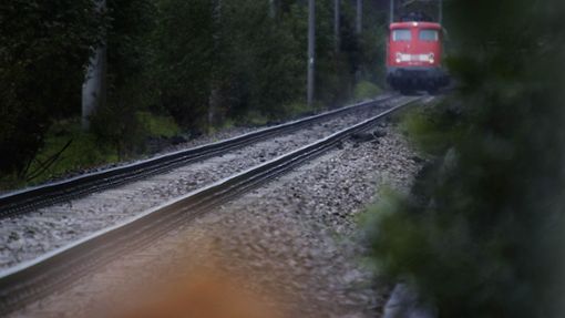 Zwei Hunde wurden von einem Zug in Nähe von Sulzbach erfasst. Foto: Gottfried Stoppel