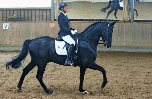 Die Böblingerin Marion Lorbert, Siegerin der Klasse M, auf ihrem Pferd Don Pedro 138. Foto: Baumann (Julia Rahn)