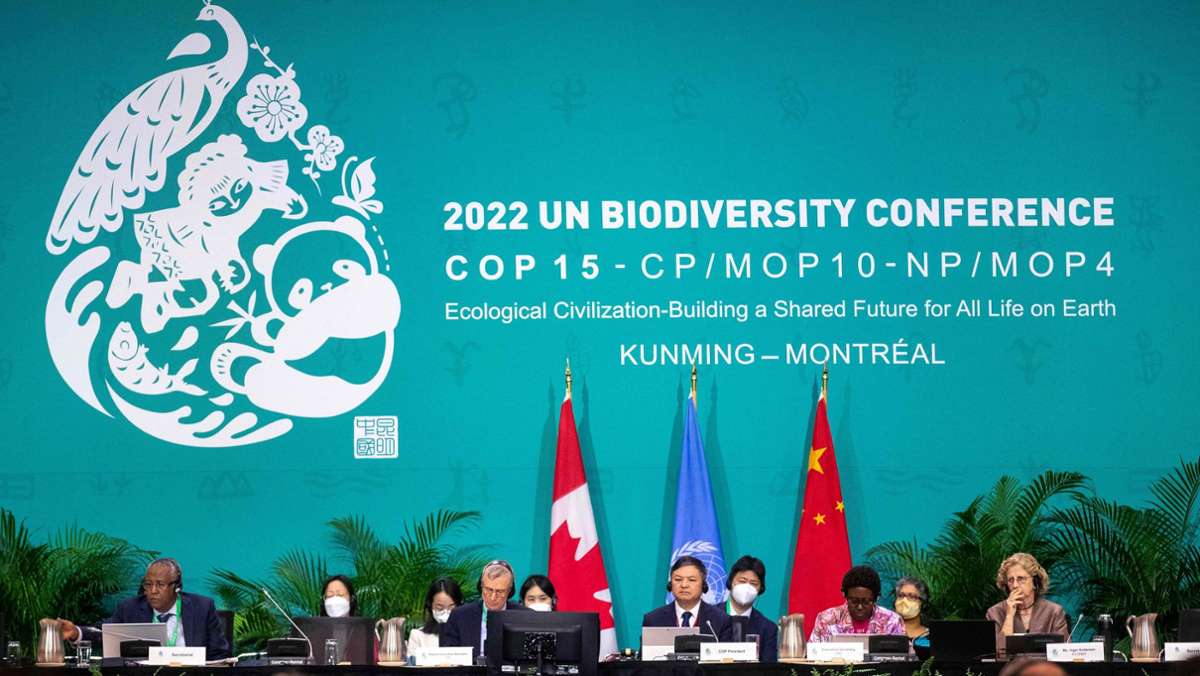 Artenschutzabkommen von Montreal: Nun konsequente Umsetzung nötig