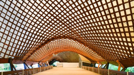 Wird für viele Millionen Euro saniert – die Multihalle Mannheim  mit der   größten freitragenden Holzgitterschalenkonstruktion der Welt, entworfen von Frei Otto. Foto: dpa/Uwe Anspach