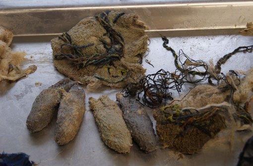 Diese Gegenstände wurden im Magen- und Darmtrakt des Eisbären Anton gefunden. Foto: Wilhelma Stuttgart