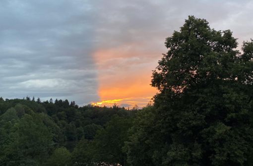 Sonne über dem Stuttgarter Rotwildpark – ein merkwürdiger Sommer. Foto: jse