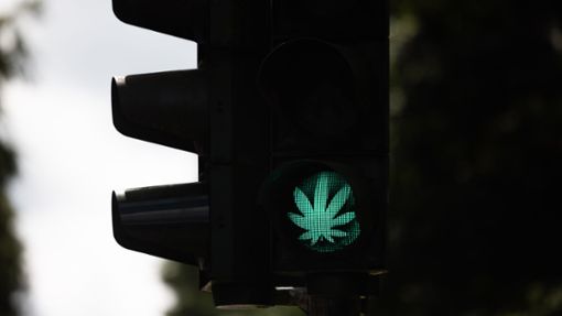 Der Bundestag hat die kontrollierte Cannabis-Freigabe beschlossen. Foto: Rolf Vennenbernd/dpa