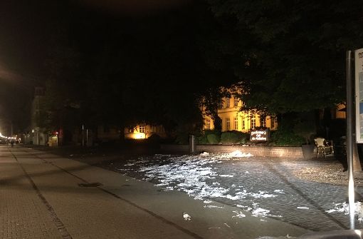 In der ganzen Altstadt haben Betrunkene Papiermüll verteilt, einen Müllhaufen angezündet und einen 19-Jährigen krankenhausreif geschlagen. Foto: Polizeipräsidium Mannheim