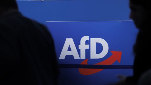 Die AfD hat nach eigenen Angaben derzeit rund 41.000 Mitglieder. Foto: dpa/Carsten Koall