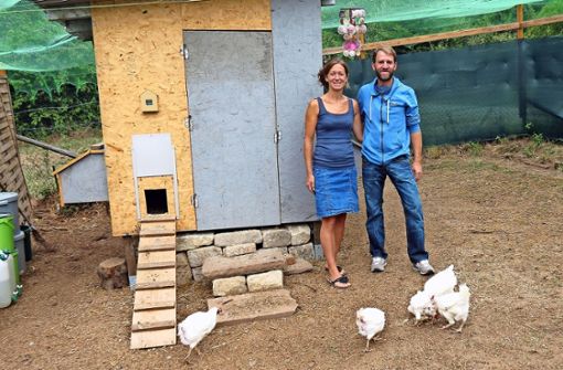 Tanja und Jochen Rieger leben in Hoffeld und haben ein Stückle im Ramsbachtal. Dort halten sie seit Kurzem Hühner. Foto: Julia Bosch