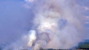 Bis Montagabend dehnte sich das Feuer laut Einsatzstab bis auf eine Fläche von 470 Hektar aus. Foto: dpa