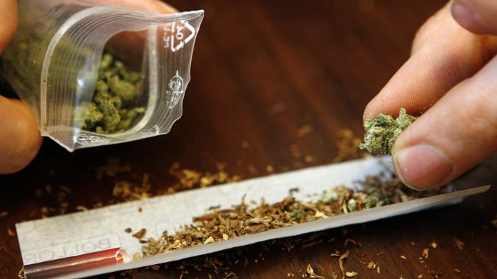 Polizisten haben Riecher für Marihuana in Stinkekäse