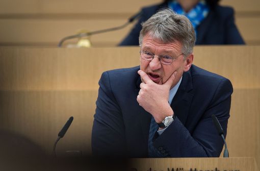 Der AfD-Fraktionschef Jörg Meuthen im Landtag: Er soll das Parlament belogen haben. Foto: dpa