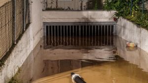 Keller von Waldenbucher Seniorenheim überflutet