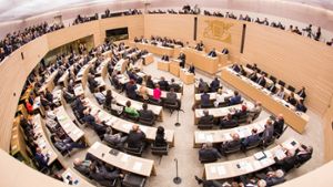 Neuer Sitzungssaal, eine neue Partei und ein neuer Umgangston. Im Stuttgarter Landtag ist mit dem Einzug der AfD der Ton in den Diskussionen wesentlich rauer geworden. Foto: dpa