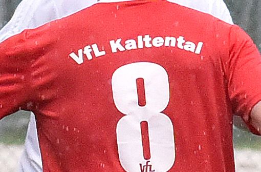 Dem VfL Kaltental fehlt nun nur noch ein Sieg bis zum Aufstieg. Foto: Günter Bergmann